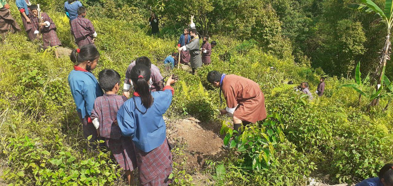 Planting trees for future generation World Scouting